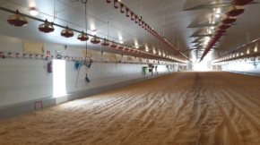 18-Sistemas-comederos-y-bebederos-scaled