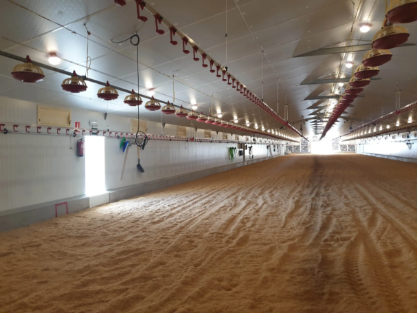 18-Sistemas-comederos-y-bebederos-scaled